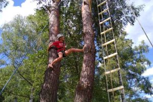 IMG_20220726_164455579_MP (1)